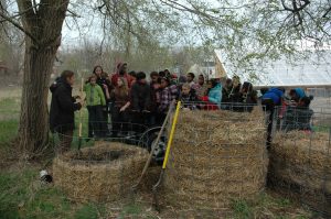 Learning about compost