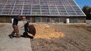 IMG_20140406_123529_891