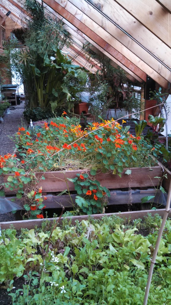 IMG_20140412_181948_659