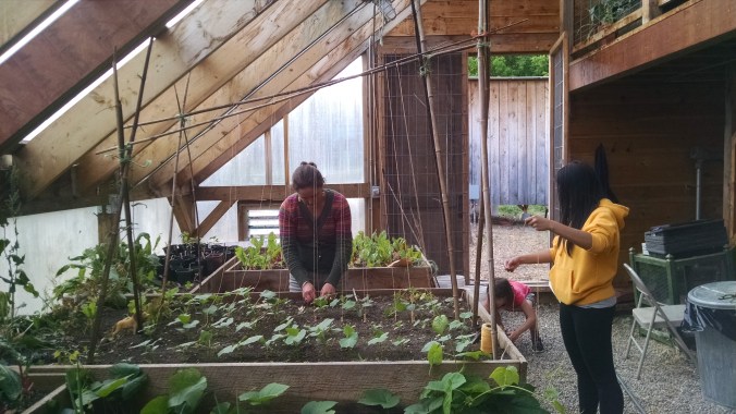 IMG_20150520_170643384